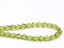 Picture of 6x6 mm, Czech faceted round beads, olive green, transparent