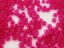 Image de Perles de rocailles japonaises, taille 8/0, translucide, rouge Crayola, dépoli, 20 grammes
