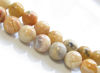 Picture of 10x10 mm, round, gemstone beads, crazy lace agate, natural